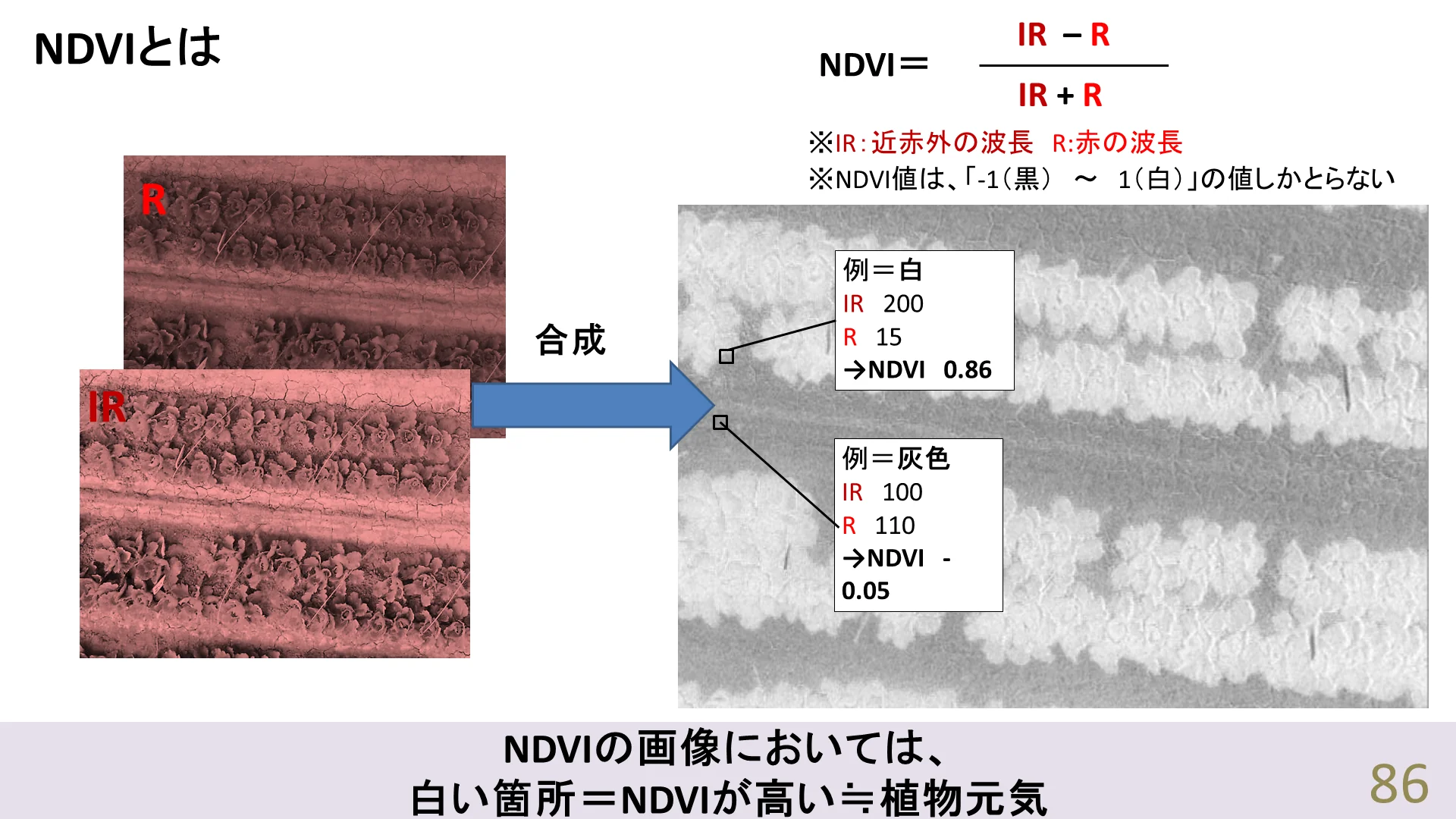 農業現場でのドローン活用 - 散布・施肥・直播・リモートセンシング・鳥獣害対策 - 解説図3